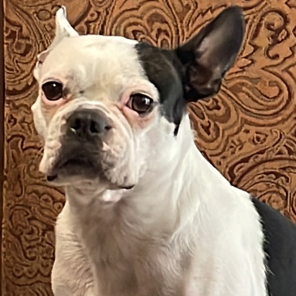 Meet your Posher, Ashley - Picture 1 of 1